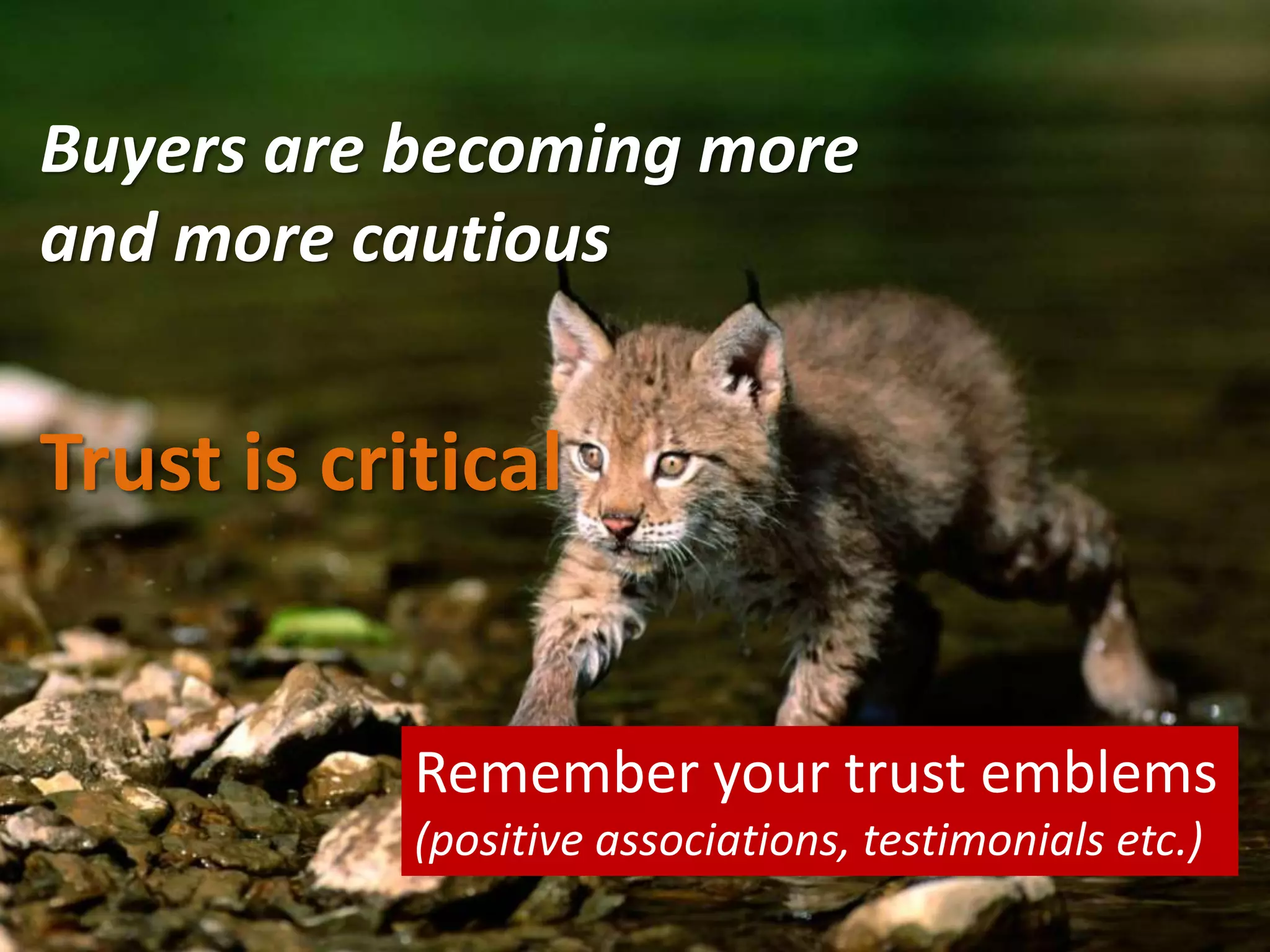 Buyers are becoming more
and more cautious

Trust is critical

Remember your trust emblems
(positive associations, testimonials etc.)

 