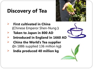 Discovery of Tea






First cultivated in China
(Chinese Emperor Shen-Nung )
Taken to Japan in 800 AD
Introduced in England in 1660 AD
China the World’s Tea supplier
(In 1886 supplied 136 million kg)
India produced 40 million kg

 