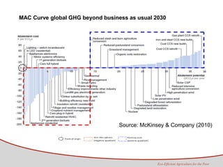 Tapasco Economic analysis of mitigation alternatives july 2012