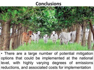 Tapasco Economic analysis of mitigation alternatives july 2012