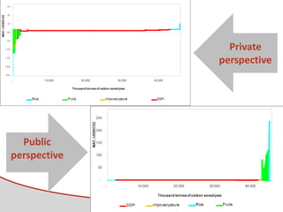 Tapasco Economic analysis of mitigation alternatives july 2012