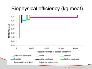 Tapasco Economic analysis of mitigation alternatives july 2012