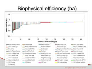 Tapasco Economic analysis of mitigation alternatives july 2012