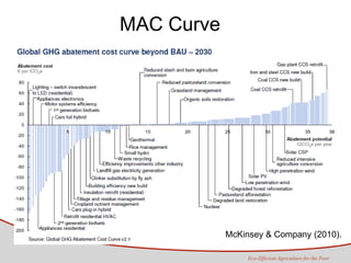 Tapasco Economic analysis of mitigation alternatives july 2012