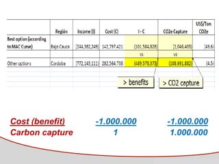 Tapasco Economic analysis of mitigation alternatives july 2012