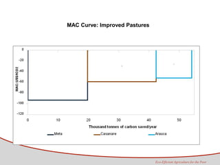 Tapasco Economic analysis of mitigation alternatives july 2012