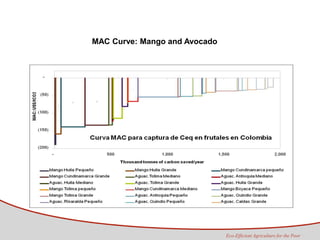 Tapasco Economic analysis of mitigation alternatives july 2012