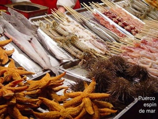 Puerco espín de mar .