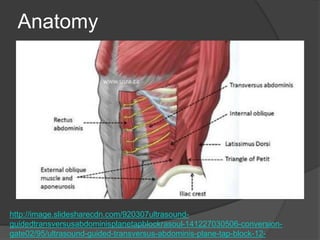 Anatomy
http://image.slidesharecdn.com/920307ultrasound-
guidedtransversusabdominisplanetapblockrasoul-141227030506-conversion-
gate02/95/ultrasound-guided-transversus-abdominis-plane-tap-block-12-
 