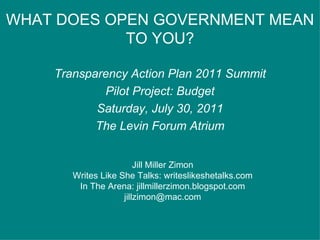 WHAT DOES OPEN GOVERNMENT MEAN TO YOU? Transparency Action Plan 2011 Summit Pilot Project: Budget Saturday, July 30, 2011 The Levin Forum Atrium Jill Miller Zimon Writes Like She Talks: writeslikeshetalks.com In The Arena: jillmillerzimon.blogspot.com [email_address] 