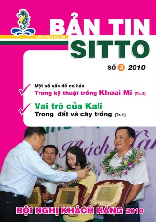 Sitto News Vol.3 