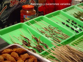 Alacranes y cucarrones variados 