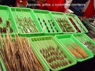 Alacranes, grillos, y cucarrones mierderos 