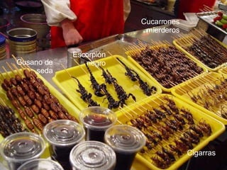 Escorpión negro Gusano de seda Cigarras  Cucarrones mierderos 