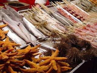 Puerco espín De mar . 