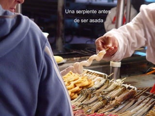 Una serpiente antes  de ser asada 