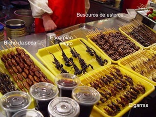 Escorpião negro Bicho da seda Cigarras Besouros de esterco