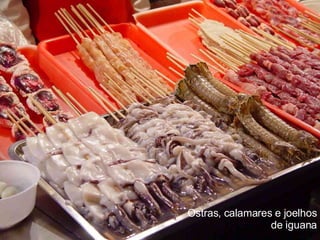 Ostras, calamares e joelhos de iguana