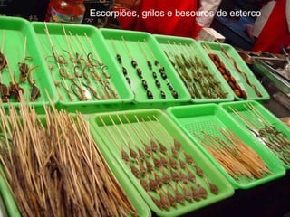 Escorpiões, grilos e besouros de esterco