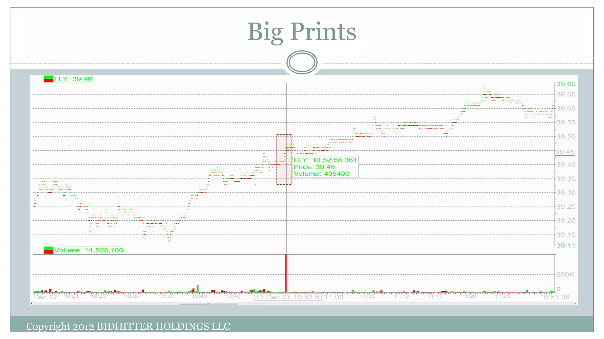 Big Prints
Copyright 2012 BIDHITTER HOLDINGS LLC
 