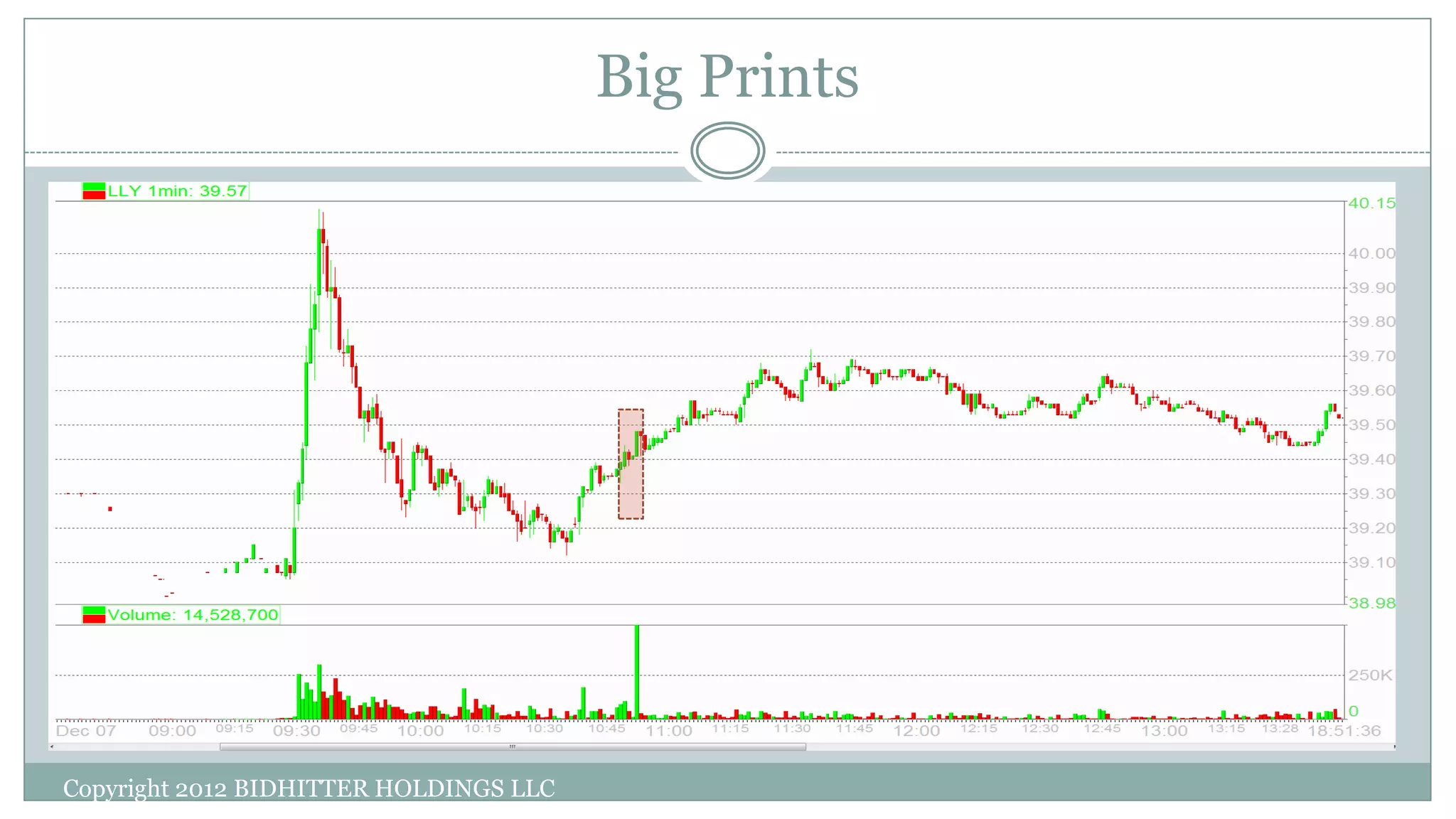 Big Prints
Copyright 2012 BIDHITTER HOLDINGS LLC
 