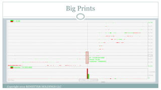 Big Prints
Copyright 2012 BIDHITTER HOLDINGS LLC
 