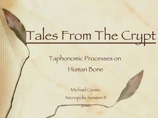Tales From The Crypt Taphonomic Processes on  Human Bone Michael Cursio Necropolis Session 9 2010 