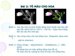 Bài 2: TÔ MÀU CHO HOA Bước 1: Tạo file mới có kích thước bằng kích thước của file cần  tạo (Ấn phím:Ctrl A- Ctrl C - Ctrl N) - Copy hoa trắng,  đen bỏ vào file mới tạo. Bước 2: Tạo vùng chọn cho hai bông hoa  (Magnetic lasso tool + add to silection)  Bước 3: Chọn:(Imge – Adjustments – ColeBalance…) – điều  chỉnh để bông hoa có màu giống bông hoa đã có. Tô màu cho lá, tương tự như tô màu cho bông hoa. 