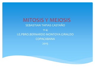 SEBASTIAN TAPIAS CASTAÑO
11-4
I.E.PBRO.BERNARDO MONTOYA GIRALDO
COPACABANA
2015
 