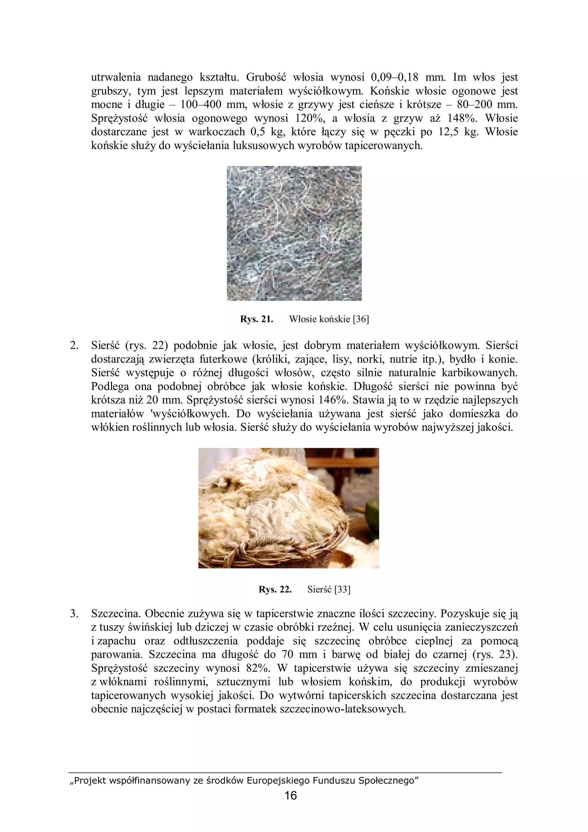 „Projekt współfinansowany ze środków Europejskiego Funduszu Społecznego”
16
utrwalenia nadanego kształtu. Grubość włosia wynosi 0,09–0,18 mm. Im włos jest
grubszy, tym jest lepszym materiałem wyściółkowym. Końskie włosie ogonowe jest
mocne i długie – 100–400 mm, włosie z grzywy jest cieńsze i krótsze – 80–200 mm.
Sprężystość włosia ogonowego wynosi 120%, a włosia z grzyw aż 148%. Włosie
dostarczane jest w warkoczach 0,5 kg, które łączy się w pęczki po 12,5 kg. Włosie
końskie służy do wyściełania luksusowych wyrobów tapicerowanych.
Rys. 21. Włosie końskie [36]
2. Sierść (rys. 22) podobnie jak włosie, jest dobrym materiałem wyściółkowym. Sierści
dostarczają zwierzęta futerkowe (króliki, zające, lisy, norki, nutrie itp.), bydło i konie.
Sierść występuje o różnej długości włosów, często silnie naturalnie karbikowanych.
Podlega ona podobnej obróbce jak włosie końskie. Długość sierści nie powinna być
krótsza niż 20 mm. Sprężystość sierści wynosi 146%. Stawia ją to w rzędzie najlepszych
materiałów 'wyściółkowych. Do wyściełania używana jest sierść jako domieszka do
włókien roślinnych lub włosia. Sierść służy do wyściełania wyrobów najwyższej jakości.
Rys. 22. Sierść [33]
3. Szczecina. Obecnie zużywa się w tapicerstwie znaczne ilości szczeciny. Pozyskuje się ją
z tuszy świńskiej lub dziczej w czasie obróbki rzeźnej. W celu usunięcia zanieczyszczeń
i zapachu oraz odtłuszczenia poddaje się szczecinę obróbce cieplnej za pomocą
parowania. Szczecina ma długość do 70 mm i barwę od białej do czarnej (rys. 23).
Sprężystość szczeciny wynosi 82%. W tapicerstwie używa się szczeciny zmieszanej
z włóknami roślinnymi, sztucznymi lub włosiem końskim, do produkcji wyrobów
tapicerowanych wysokiej jakości. Do wytwórni tapicerskich szczecina dostarczana jest
obecnie najczęściej w postaci formatek szczecinowo-lateksowych.
 