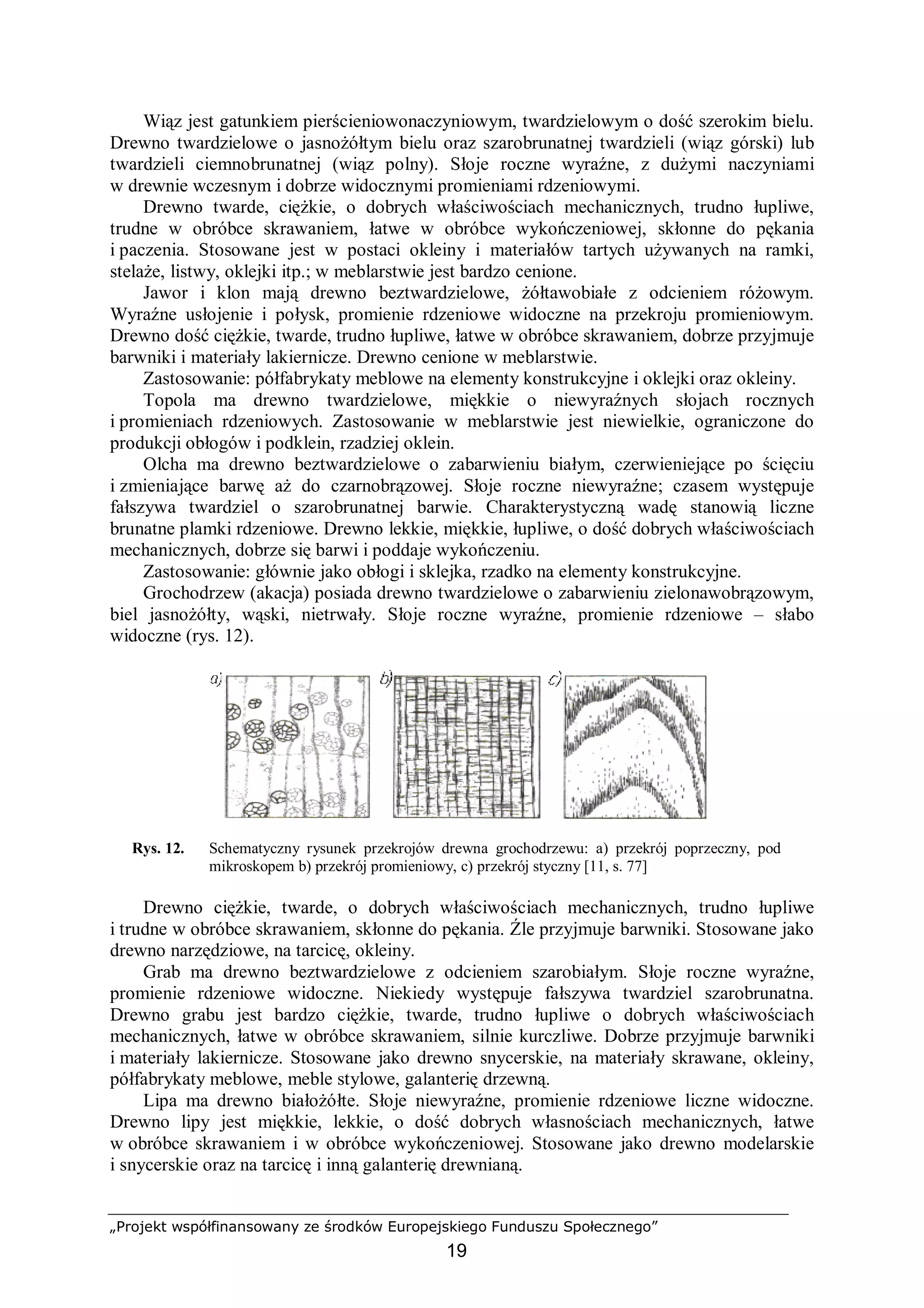 „Projekt współfinansowany ze środków Europejskiego Funduszu Społecznego”
19
Wiąz jest gatunkiem pierścieniowonaczyniowym, twardzielowym o dość szerokim bielu.
Drewno twardzielowe o jasnożółtym bielu oraz szarobrunatnej twardzieli (wiąz górski) lub
twardzieli ciemnobrunatnej (wiąz polny). Słoje roczne wyraźne, z dużymi naczyniami
w drewnie wczesnym i dobrze widocznymi promieniami rdzeniowymi.
Drewno twarde, ciężkie, o dobrych właściwościach mechanicznych, trudno łupliwe,
trudne w obróbce skrawaniem, łatwe w obróbce wykończeniowej, skłonne do pękania
i paczenia. Stosowane jest w postaci okleiny i materiałów tartych używanych na ramki,
stelaże, listwy, oklejki itp.; w meblarstwie jest bardzo cenione.
Jawor i klon mają drewno beztwardzielowe, żółtawobiałe z odcieniem różowym.
Wyraźne usłojenie i połysk, promienie rdzeniowe widoczne na przekroju promieniowym.
Drewno dość ciężkie, twarde, trudno łupliwe, łatwe w obróbce skrawaniem, dobrze przyjmuje
barwniki i materiały lakiernicze. Drewno cenione w meblarstwie.
Zastosowanie: półfabrykaty meblowe na elementy konstrukcyjne i oklejki oraz okleiny.
Topola ma drewno twardzielowe, miękkie o niewyraźnych słojach rocznych
i promieniach rdzeniowych. Zastosowanie w meblarstwie jest niewielkie, ograniczone do
produkcji obłogów i podklein, rzadziej oklein.
Olcha ma drewno beztwardzielowe o zabarwieniu białym, czerwieniejące po ścięciu
i zmieniające barwę aż do czarnobrązowej. Słoje roczne niewyraźne; czasem występuje
fałszywa twardziel o szarobrunatnej barwie. Charakterystyczną wadę stanowią liczne
brunatne plamki rdzeniowe. Drewno lekkie, miękkie, łupliwe, o dość dobrych właściwościach
mechanicznych, dobrze się barwi i poddaje wykończeniu.
Zastosowanie: głównie jako obłogi i sklejka, rzadko na elementy konstrukcyjne.
Grochodrzew (akacja) posiada drewno twardzielowe o zabarwieniu zielonawobrązowym,
biel jasnożółty, wąski, nietrwały. Słoje roczne wyraźne, promienie rdzeniowe – słabo
widoczne (rys. 12).
Rys. 12. Schematyczny rysunek przekrojów drewna grochodrzewu: a) przekrój poprzeczny, pod
mikroskopem b) przekrój promieniowy, c) przekrój styczny [11, s. 77]
Drewno ciężkie, twarde, o dobrych właściwościach mechanicznych, trudno łupliwe
i trudne w obróbce skrawaniem, skłonne do pękania. Źle przyjmuje barwniki. Stosowane jako
drewno narzędziowe, na tarcicę, okleiny.
Grab ma drewno beztwardzielowe z odcieniem szarobiałym. Słoje roczne wyraźne,
promienie rdzeniowe widoczne. Niekiedy występuje fałszywa twardziel szarobrunatna.
Drewno grabu jest bardzo ciężkie, twarde, trudno łupliwe o dobrych właściwościach
mechanicznych, łatwe w obróbce skrawaniem, silnie kurczliwe. Dobrze przyjmuje barwniki
i materiały lakiernicze. Stosowane jako drewno snycerskie, na materiały skrawane, okleiny,
półfabrykaty meblowe, meble stylowe, galanterię drzewną.
Lipa ma drewno białożółte. Słoje niewyraźne, promienie rdzeniowe liczne widoczne.
Drewno lipy jest miękkie, lekkie, o dość dobrych własnościach mechanicznych, łatwe
w obróbce skrawaniem i w obróbce wykończeniowej. Stosowane jako drewno modelarskie
i snycerskie oraz na tarcicę i inną galanterię drewnianą.
 