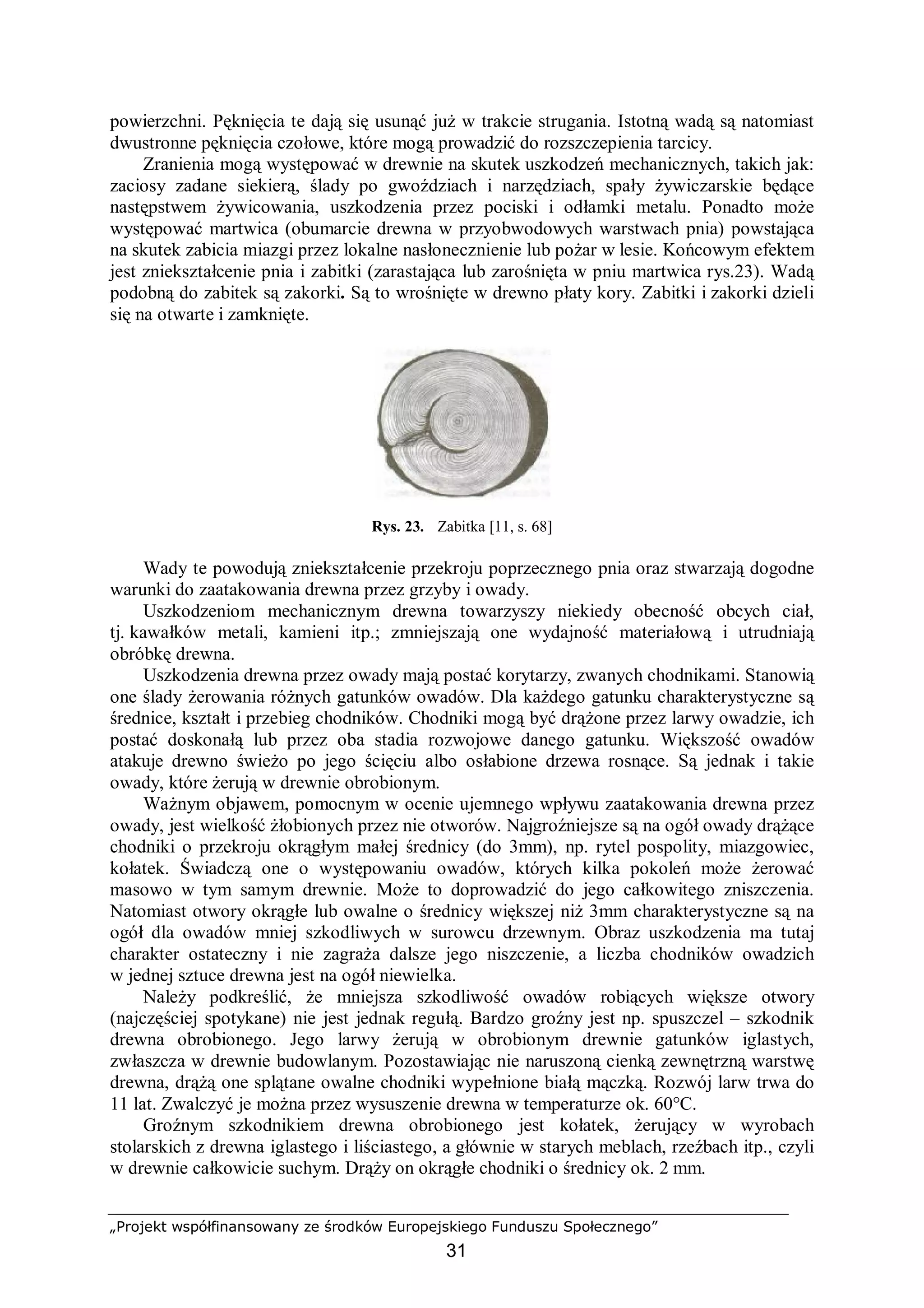 „Projekt współfinansowany ze środków Europejskiego Funduszu Społecznego”
31
powierzchni. Pęknięcia te dają się usunąć już w trakcie strugania. Istotną wadą są natomiast
dwustronne pęknięcia czołowe, które mogą prowadzić do rozszczepienia tarcicy.
Zranienia mogą występować w drewnie na skutek uszkodzeń mechanicznych, takich jak:
zaciosy zadane siekierą, ślady po gwoździach i narzędziach, spały żywiczarskie będące
następstwem żywicowania, uszkodzenia przez pociski i odłamki metalu. Ponadto może
występować martwica (obumarcie drewna w przyobwodowych warstwach pnia) powstająca
na skutek zabicia miazgi przez lokalne nasłonecznienie lub pożar w lesie. Końcowym efektem
jest zniekształcenie pnia i zabitki (zarastająca lub zarośnięta w pniu martwica rys.23). Wadą
podobną do zabitek są zakorki. Są to wrośnięte w drewno płaty kory. Zabitki i zakorki dzieli
się na otwarte i zamknięte.
Rys. 23. Zabitka [11, s. 68]
Wady te powodują zniekształcenie przekroju poprzecznego pnia oraz stwarzają dogodne
warunki do zaatakowania drewna przez grzyby i owady.
Uszkodzeniom mechanicznym drewna towarzyszy niekiedy obecność obcych ciał,
tj. kawałków metali, kamieni itp.; zmniejszają one wydajność materiałową i utrudniają
obróbkę drewna.
Uszkodzenia drewna przez owady mają postać korytarzy, zwanych chodnikami. Stanowią
one ślady żerowania różnych gatunków owadów. Dla każdego gatunku charakterystyczne są
średnice, kształt i przebieg chodników. Chodniki mogą być drążone przez larwy owadzie, ich
postać doskonałą lub przez oba stadia rozwojowe danego gatunku. Większość owadów
atakuje drewno świeżo po jego ścięciu albo osłabione drzewa rosnące. Są jednak i takie
owady, które żerują w drewnie obrobionym.
Ważnym objawem, pomocnym w ocenie ujemnego wpływu zaatakowania drewna przez
owady, jest wielkość żłobionych przez nie otworów. Najgroźniejsze są na ogół owady drążące
chodniki o przekroju okrągłym małej średnicy (do 3mm), np. rytel pospolity, miazgowiec,
kołatek. Świadczą one o występowaniu owadów, których kilka pokoleń może żerować
masowo w tym samym drewnie. Może to doprowadzić do jego całkowitego zniszczenia.
Natomiast otwory okrągłe lub owalne o średnicy większej niż 3mm charakterystyczne są na
ogół dla owadów mniej szkodliwych w surowcu drzewnym. Obraz uszkodzenia ma tutaj
charakter ostateczny i nie zagraża dalsze jego niszczenie, a liczba chodników owadzich
w jednej sztuce drewna jest na ogół niewielka.
Należy podkreślić, że mniejsza szkodliwość owadów robiących większe otwory
(najczęściej spotykane) nie jest jednak regułą. Bardzo groźny jest np. spuszczel – szkodnik
drewna obrobionego. Jego larwy żerują w obrobionym drewnie gatunków iglastych,
zwłaszcza w drewnie budowlanym. Pozostawiając nie naruszoną cienką zewnętrzną warstwę
drewna, drążą one splątane owalne chodniki wypełnione białą mączką. Rozwój larw trwa do
11 lat. Zwalczyć je można przez wysuszenie drewna w temperaturze ok. 60°C.
Groźnym szkodnikiem drewna obrobionego jest kołatek, żerujący w wyrobach
stolarskich z drewna iglastego i liściastego, a głównie w starych meblach, rzeźbach itp., czyli
w drewnie całkowicie suchym. Drąży on okrągłe chodniki o średnicy ok. 2 mm.
 