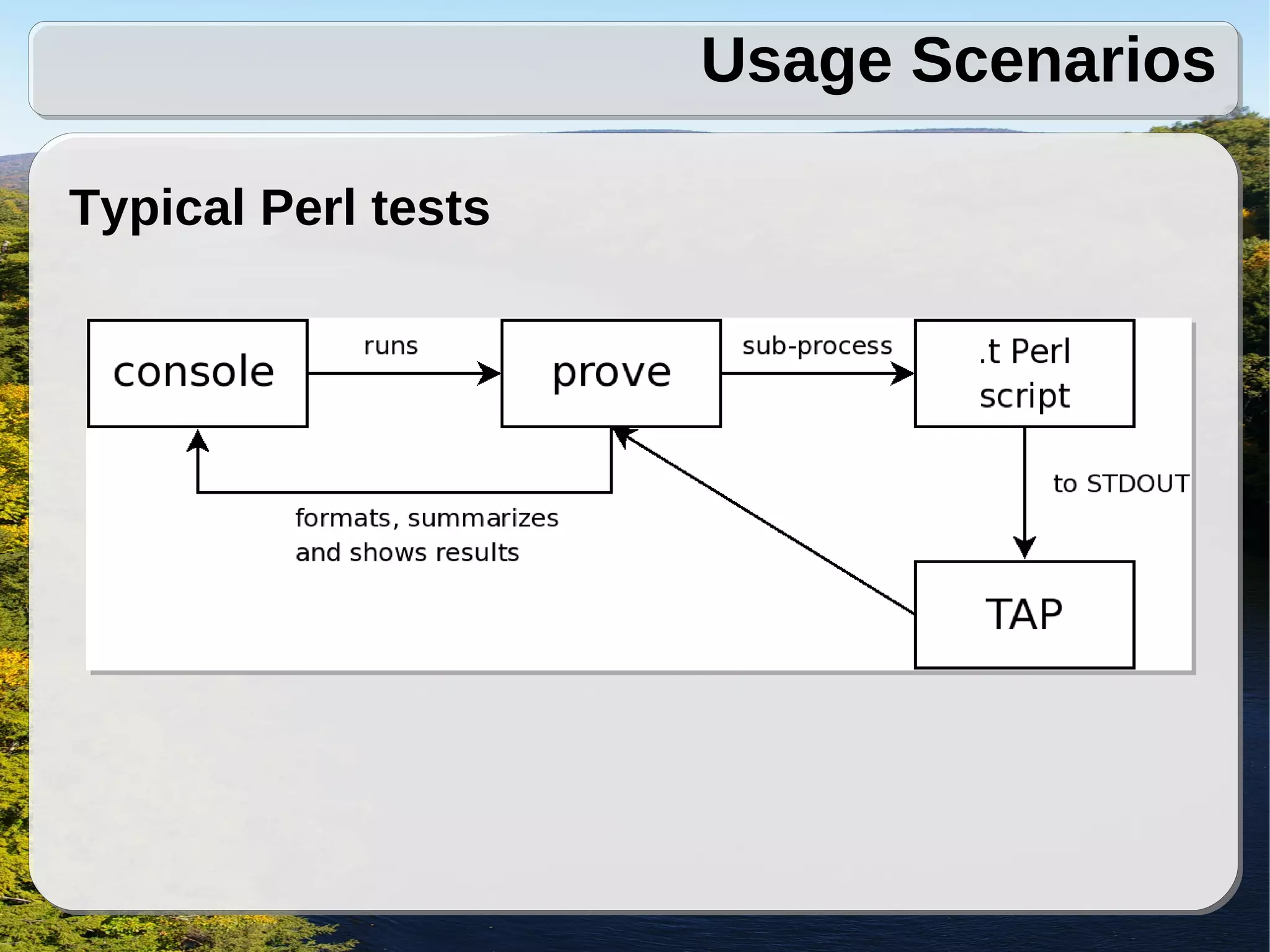 Usage Scenarios

Typical Perl tests
 