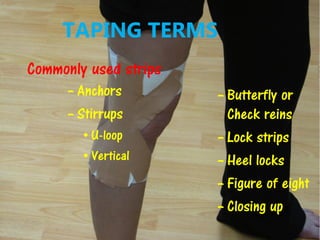 TAPING TERMS
– Anchors
– Stirrups
• U-loop
• Vertical
– Butterfly or
Check reins
– Lock strips
– Heel locks
– Figure of eight
– Closing up
Commonly used strips
 