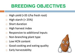 BREEDING OBJECTIVES
 High yield (>35 t/ha fresh root)
 High starch (> 25%)
 Short duration
 High harvest index
 Responsive to additional inputs
 Non-branching plant type
 Low HCN content
 Good cooking and eating quality
 Early harvestability
 