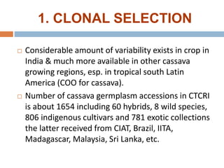 1. CLONAL SELECTION
 Considerable amount of variability exists in crop in
India & much more available in other cassava
growing regions, esp. in tropical south Latin
America (COO for cassava).
 Number of cassava germplasm accessions in CTCRI
is about 1654 including 60 hybrids, 8 wild species,
806 indigenous cultivars and 781 exotic collections
the latter received from CIAT, Brazil, IITA,
Madagascar, Malaysia, Sri Lanka, etc.
 