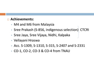  Achievements:
 M4 and M6 from Malaysia
 Sree Prakash (S-856, indigenous selection) CTCRI
 Sree Jaya, Sree Vijaya, Nidhi, Kalpaka
 Vellayani Hraswa
 Acc. S-1309, S-1310, S-315, S-2407 and S-2331
 CO-1, CO-2, CO-3 & CO-4 from TNAU
 