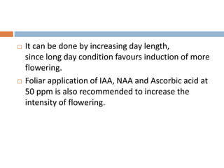  It can be done by increasing day length,
since long day condition favours induction of more
flowering.
 Foliar application of IAA, NAA and Ascorbic acid at
50 ppm is also recommended to increase the
intensity of flowering.
 