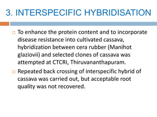 3. INTERSPECIFIC HYBRIDISATION
 To enhance the protein content and to incorporate
disease resistance into cultivated cassava,
hybridization between cera rubber (Manihot
glaziovii) and selected clones of cassava was
attempted at CTCRI, Thiruvananthapuram.
 Repeated back crossing of interspecific hybrid of
cassava was carried out, but acceptable root
quality was not recovered.
 