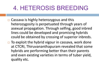 4. HETEROSIS BREEDING
 Cassava is highly heterozygous and this
heterozygosity is perpetuated through years of
asexual propagation. Through selfing, good inbred
lines could be developed and promising hybrids
could be obtained by crossing of superior inbreds.
 To exploit the hybrid vigour in cassava, work done
at CTCRI, Thiruvananthapuram revealed that some
hybrids are performing better than their parents
and even existing varieties in terms of tuber yield,
quality etc.
 