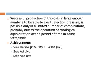  Successful production of triploids in large enough
numbers to be able to exert selection pressure, is
possible only in a limited number of combinations,
probably due to the operation of cytological
diploidization over a period of time in some
tetraploids.
 Achievement:
 Sree Harsha [OP4 (2X) х H-2304 (4X)]
 Sree Athulya
 Sree Apoorva
 