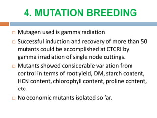4. MUTATION BREEDING
 Mutagen used is gamma radiation
 Successful induction and recovery of more than 50
mutants could be accomplished at CTCRI by
gamma irradiation of single node cuttings.
 Mutants showed considerable variation from
control in terms of root yield, DM, starch content,
HCN content, chlorophyll content, proline content,
etc.
 No economic mutants isolated so far.
 