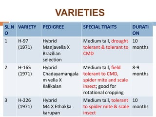 VARIETIES
SL.N
O
VARIETY PEDIGREE SPECIAL TRAITS DURATI
ON
1 H-97
(1971)
Hybrid
Manjavella X
Brazilian
selection
Medium tall, drought
tolerant & tolerant to
CMD
10
months
2 H-165
(1971)
Hybrid
Chadayamangala
m vella X
Kalikalan
Medium tall, field
tolerant to CMD,
spider mite and scale
insect; good for
rotational cropping
8-9
months
3 H-226
(1971)
Hybrid
M4 X Ethakka
karupan
Medium tall, tolerant
to spider mite & scale
insect
10
months
 