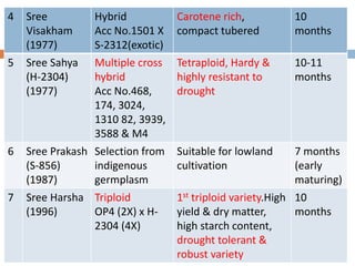 4 Sree
Visakham
(1977)
Hybrid
Acc No.1501 X
S-2312(exotic)
Carotene rich,
compact tubered
10
months
5 Sree Sahya
(H-2304)
(1977)
Multiple cross
hybrid
Acc No.468,
174, 3024,
1310 82, 3939,
3588 & M4
Tetraploid, Hardy &
highly resistant to
drought
10-11
months
6 Sree Prakash
(S-856)
(1987)
Selection from
indigenous
germplasm
Suitable for lowland
cultivation
7 months
(early
maturing)
7 Sree Harsha
(1996)
Triploid
OP4 (2X) х H-
2304 (4X)
1st triploid variety.High
yield & dry matter,
high starch content,
drought tolerant &
robust variety
10
months
 