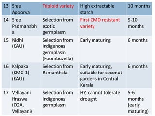 13 Sree
Apoorva
Triploid variety High extractable
starch
10 months
14 Sree
Padmanabh
a
Selection from
exotic
germplasm
First CMD resistant
variety
9-10
months
15 Nidhi
(KAU)
Selection from
indigenous
germplasm
(Koombuvella)
Early maturing 6 months
16 Kalpaka
(KMC-1)
(KAU)
Selection from
Ramanthala
Early maturing,
suitable for coconut
gardens in Central
Kerala
6 months
17 Vellayani
Hraswa
(COA,
Vellayani)
Selection from
indigenous
germplasm
HY, cannot tolerate
drought
5-6
months
(early
maturing)
 