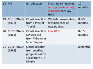 18 M4 Introduction Erect, non-branching,
most popular variety
in Kerala, very low
HCN
10
months
19 CO 1 (TNAU)
(1977)
Clonal selection
from a type of
Tiruchi
Whitish brown tubers,
low incidence of
mosaic virus
8.5-9
months
20 CO 2 (TNAU)
(1984)
Clonal selection
OP seedling
from Thiruvarur
type, Tanjore
Low HCN 8-8.5
months
21 CO 3 (TNAU)
(1993)
Clonal selecton
from seedling
progenies of OP
seeds from IITA,
Nigeria
8 months
 