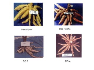 Sree Vijaya Sree Harsha
CO 1 CO 4
 