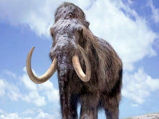 DRC 2009 // Dan Saffer, Kicker Studio
 