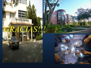 PULSO PARADOJICO   (DESCENSO DE LA PRESION ARTERIAL SISTOLICA  SUPERIOR A 10 mmHg  DURANTE LA FASE INSPIRATORIA DE LA RESPIRACIONTAPONAMIENTO CARDIACODiagnosticoEcocardiograma—a test that uses high-frequency sound waves (ultrasound) to examine the size, shape, and motion of the heart. This is the primary test used to diagnose and manage cardiac tamponade. 