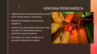 z
VENTANA PERICARDICA
 Objetivo drenar el líquido pericárdico dentro
de la cavidad pleural o peritoneal.
 Alternativa terapéutica en derrames
repetitivos
 Incisión en la parte antero lateral del 5°EIC,
tras abrir M. intercostales aparece
pericardio y pleura izquierda
 Se realiza una incisión amplia en el
pericardio drenando la cavidad.
 
